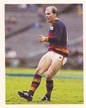 1993 Select AFL Stickers #16 Andrew Jarman Front